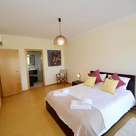 Vela - In Complex Near The 圣马蒂纽·杜·波特