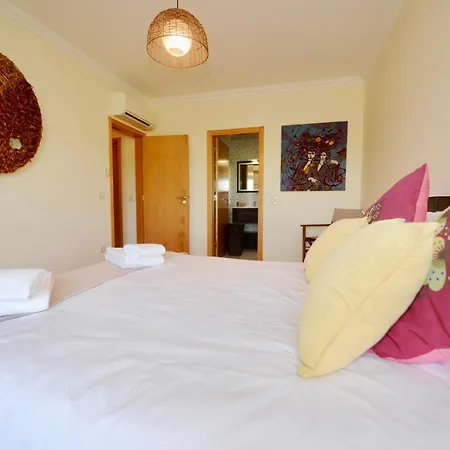 Vela - In Complex Near The