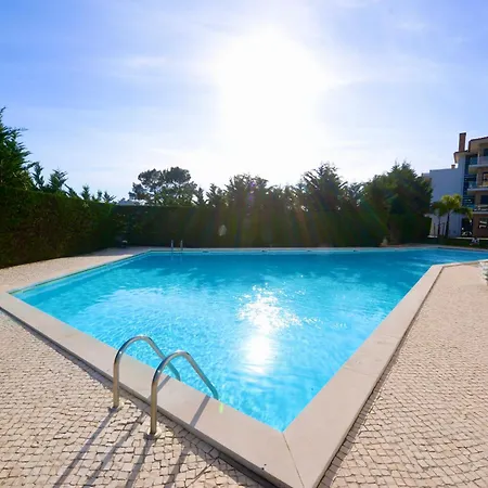 Vela - In Complex Near The *